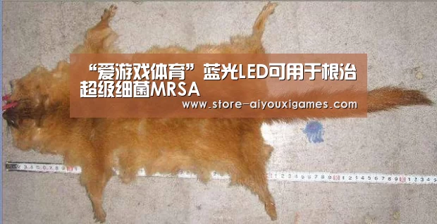 “爱游戏体育”蓝光LED可用于根治超级细菌MRSA(图1) 爱游戏官网