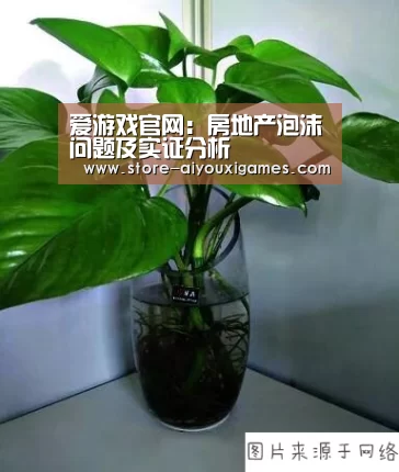 爱游戏官网:房地产泡沫问题及实证分析(图3) 爱游戏体育